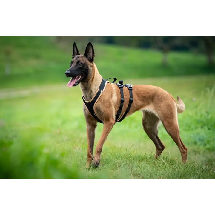 Hundegeschirr Vary Support