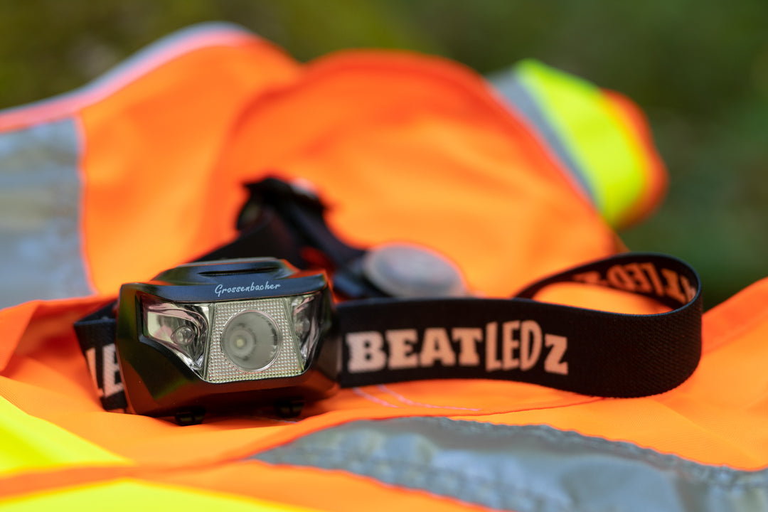 BEATLEDZ LED-Leuchten