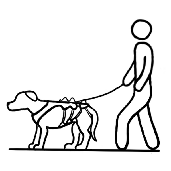 Anwendungsicon