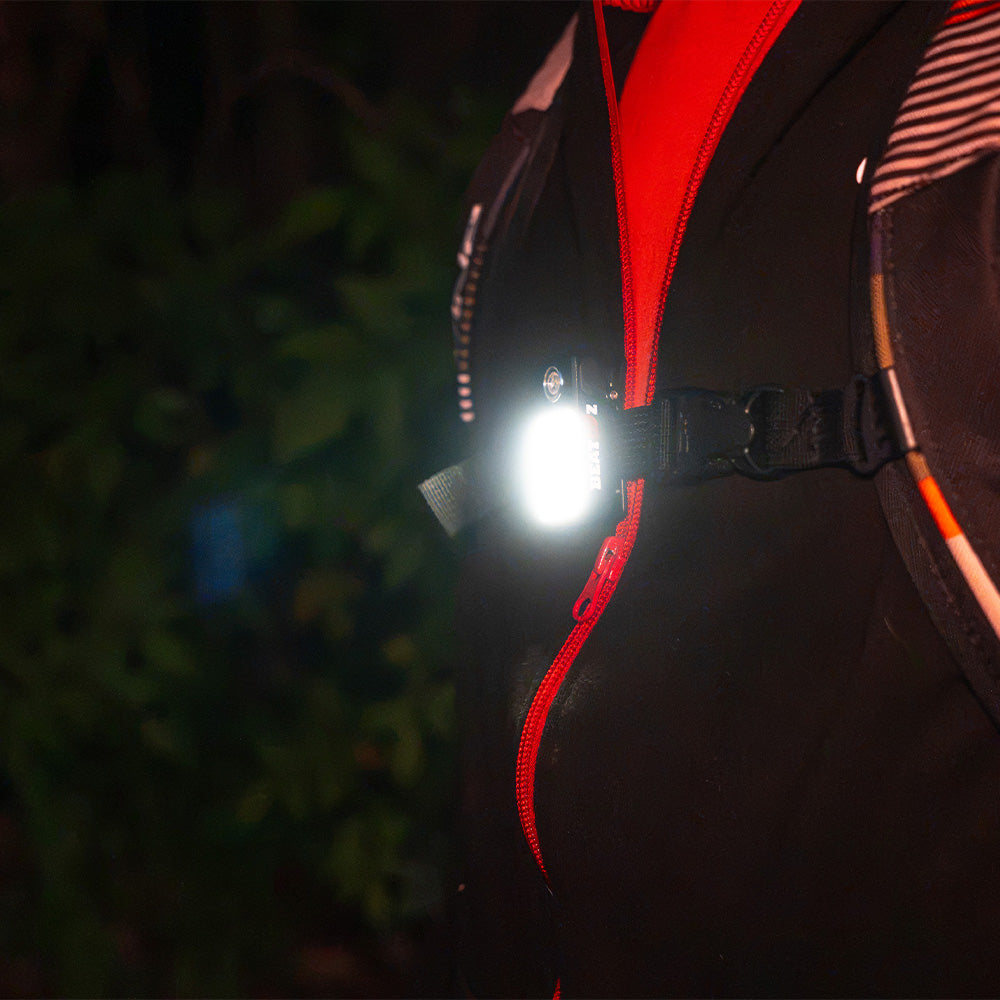 Lampe à pince BEATLEDZ NG-2