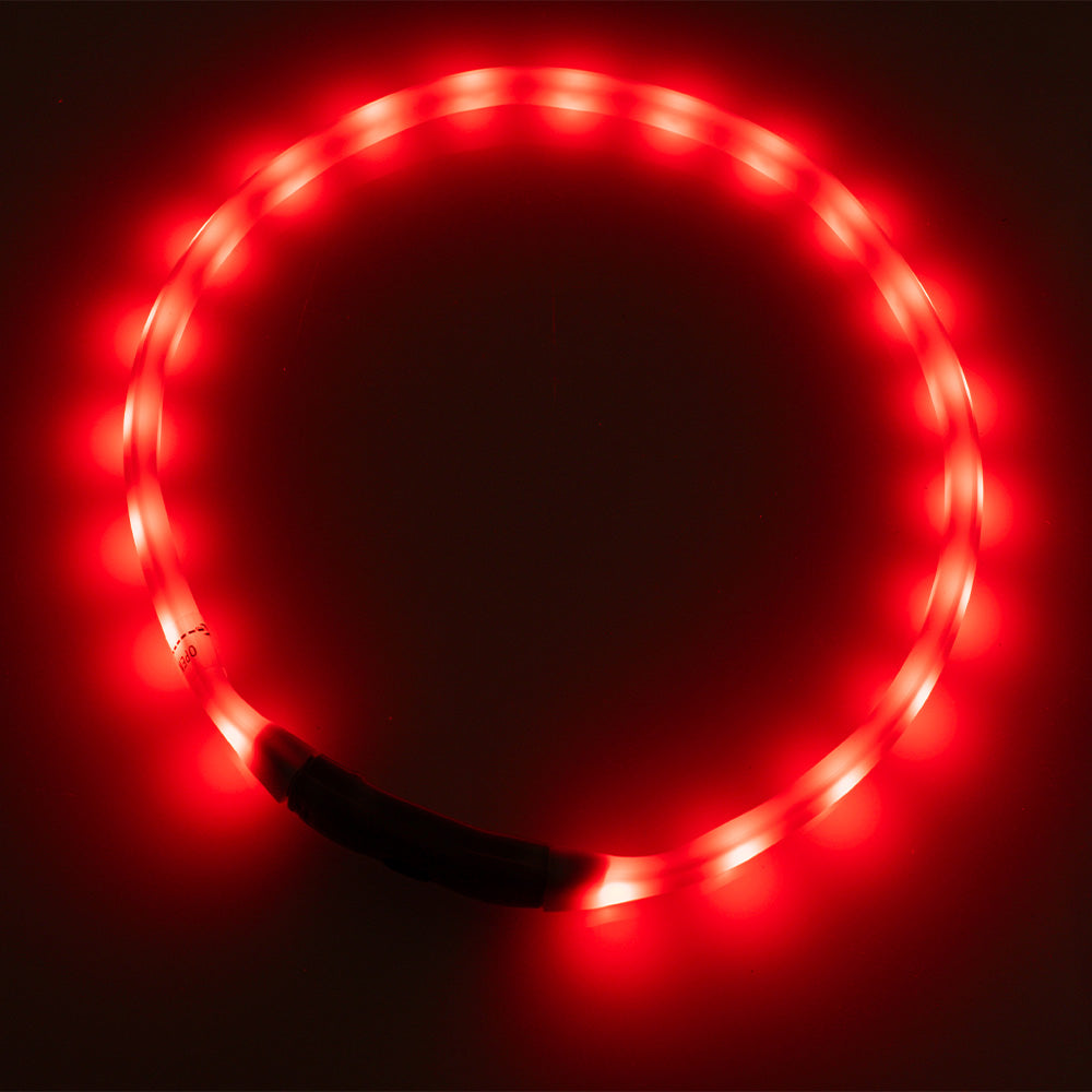 BEATLEDZ NG-3 Light-Up Collar for Dogs