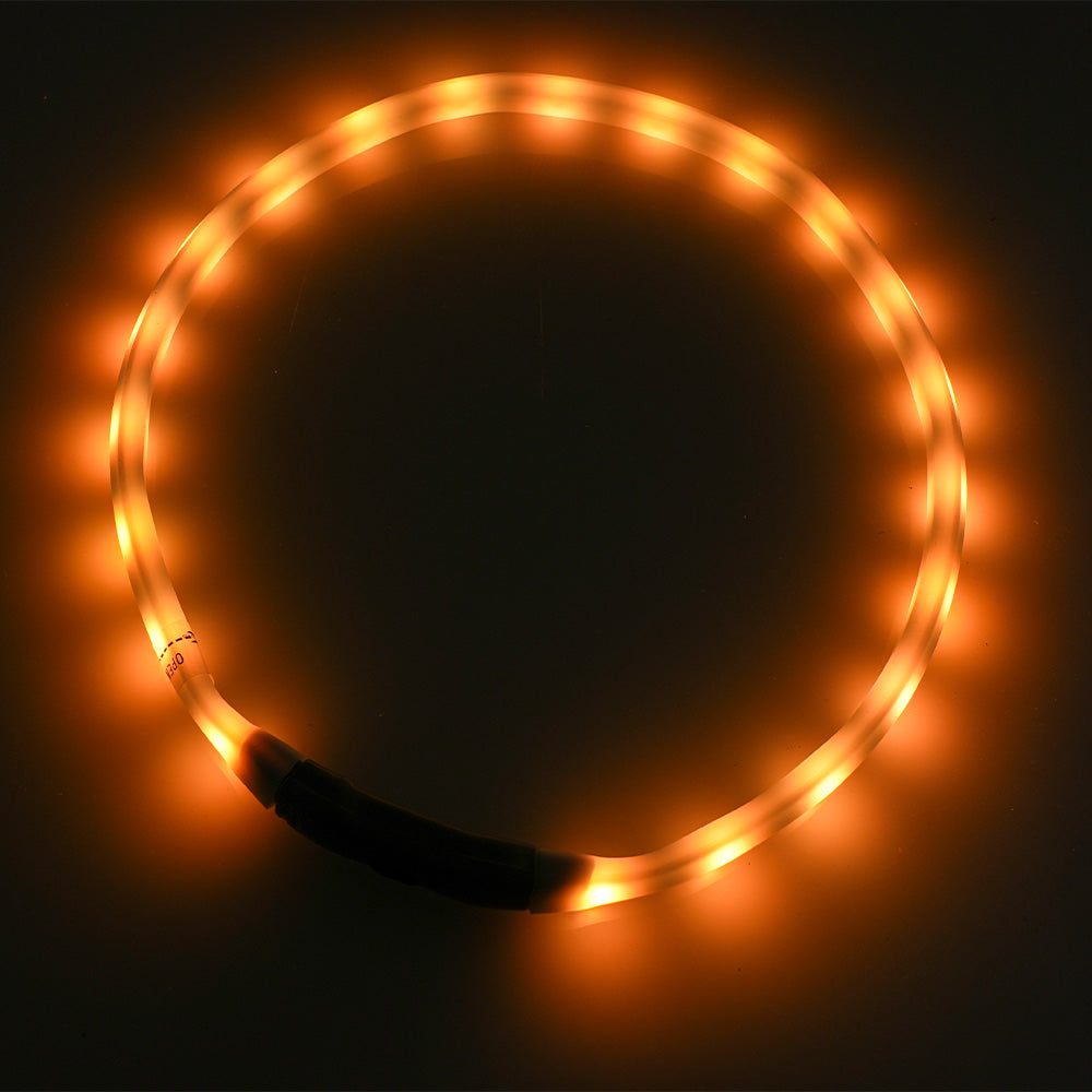 BEATLEDZ NG-3 Light-Up Collar for Dogs