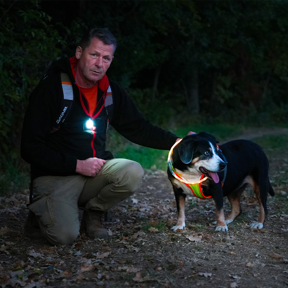 BEATLEDZ NG-3 Light-Up Collar for Dogs