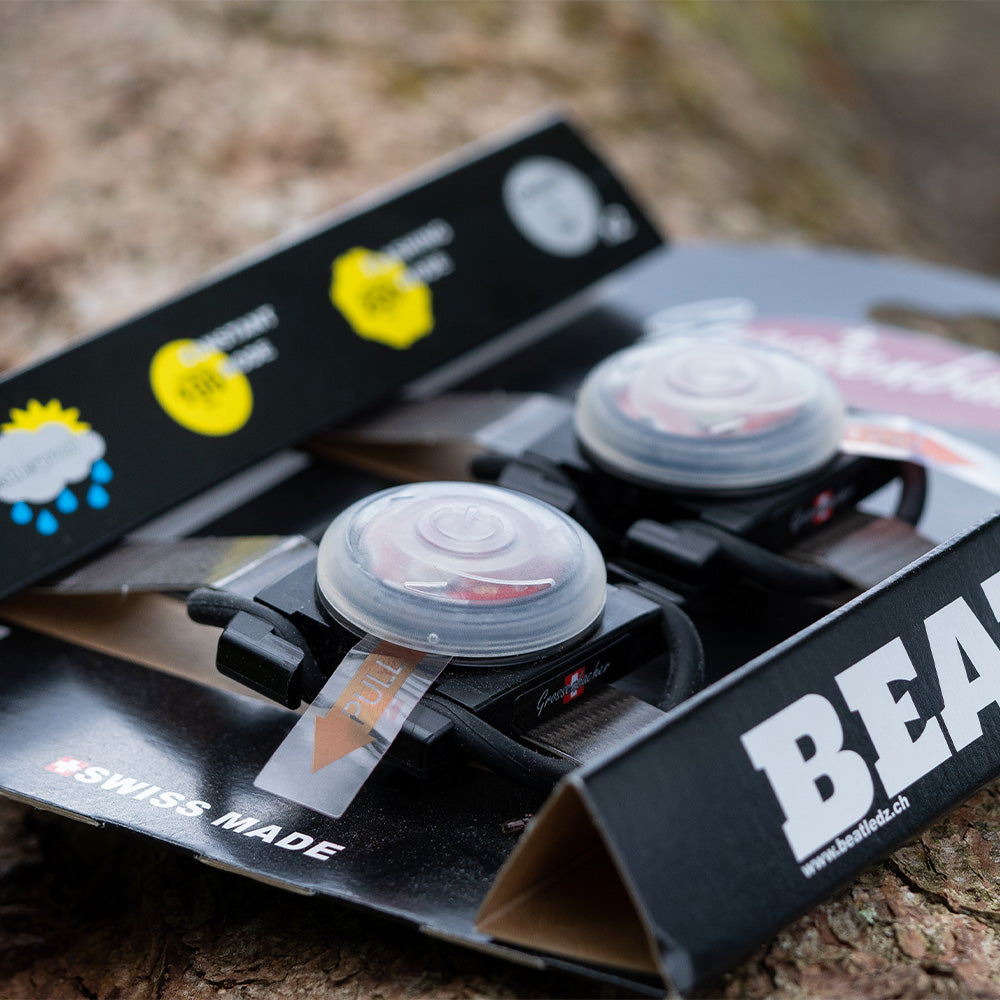 BeatLEDz SG1