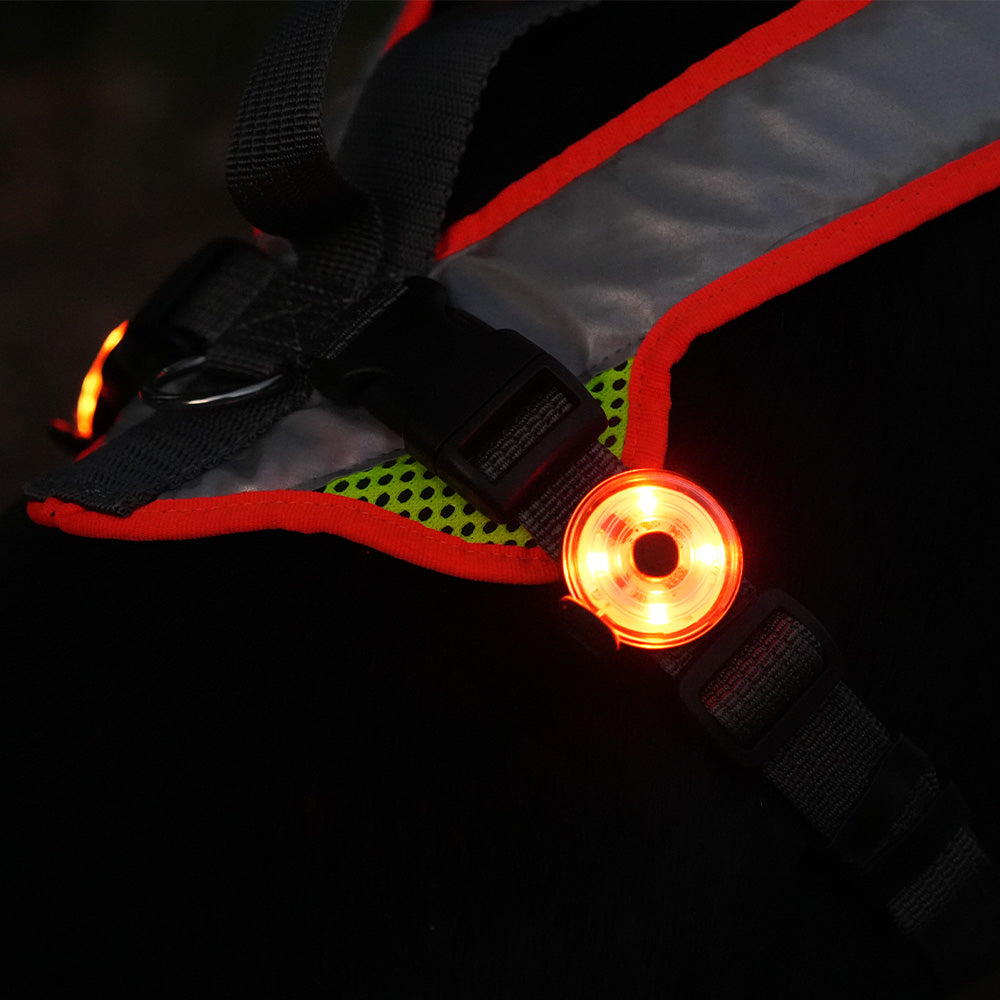 BEATLEDZ SG-4 Universal Light