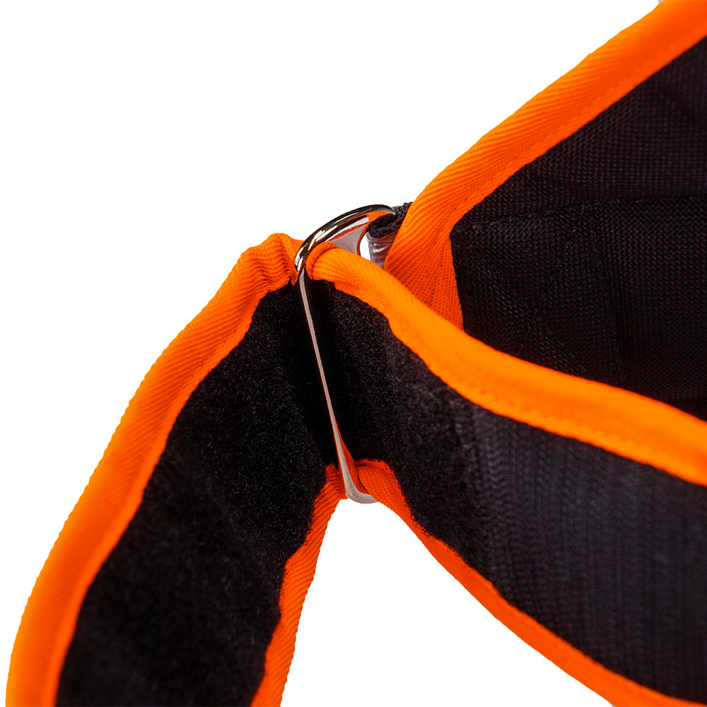 Couverture lumineuse pour chien Balou Profi avec LED