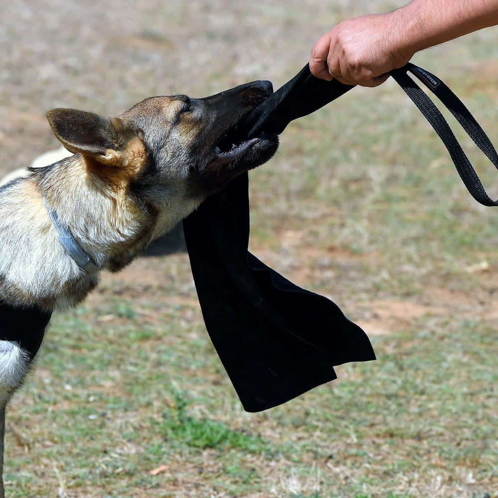 Bite toy RUG leather - Dingo Gear