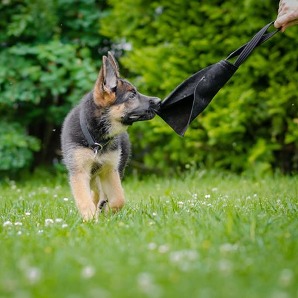 Beissspielzeug RUG mini Leder - Dingo Gear