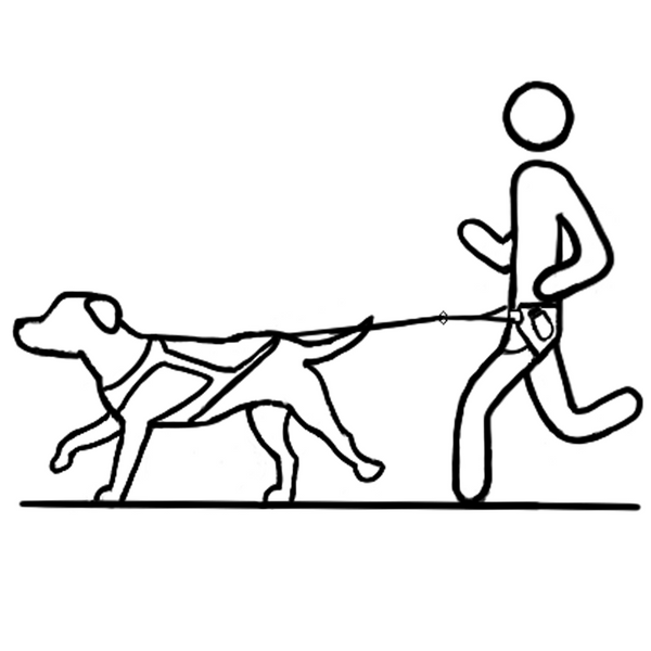 Anwendungsicon