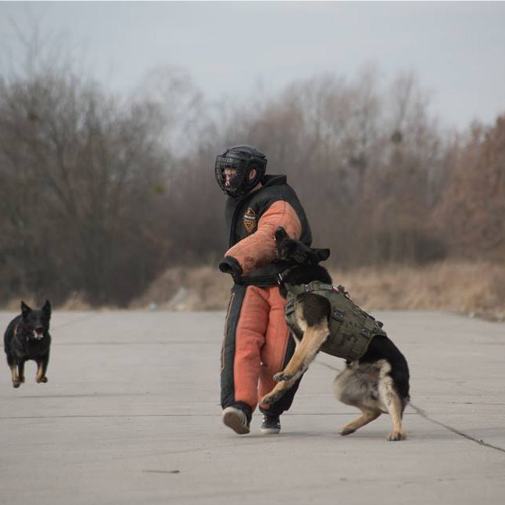 Schutzanzug Schutzdienst Dingo Gear