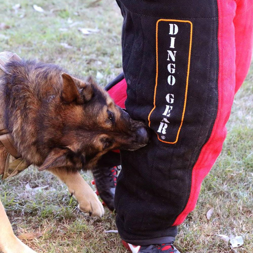 Tuta di protezione Servizio di protezione Dingo Gear
