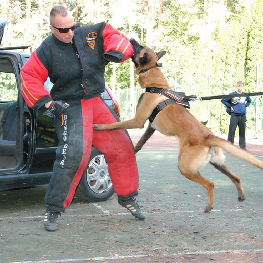 Schutzanzug Schutzdienst Dingo Gear