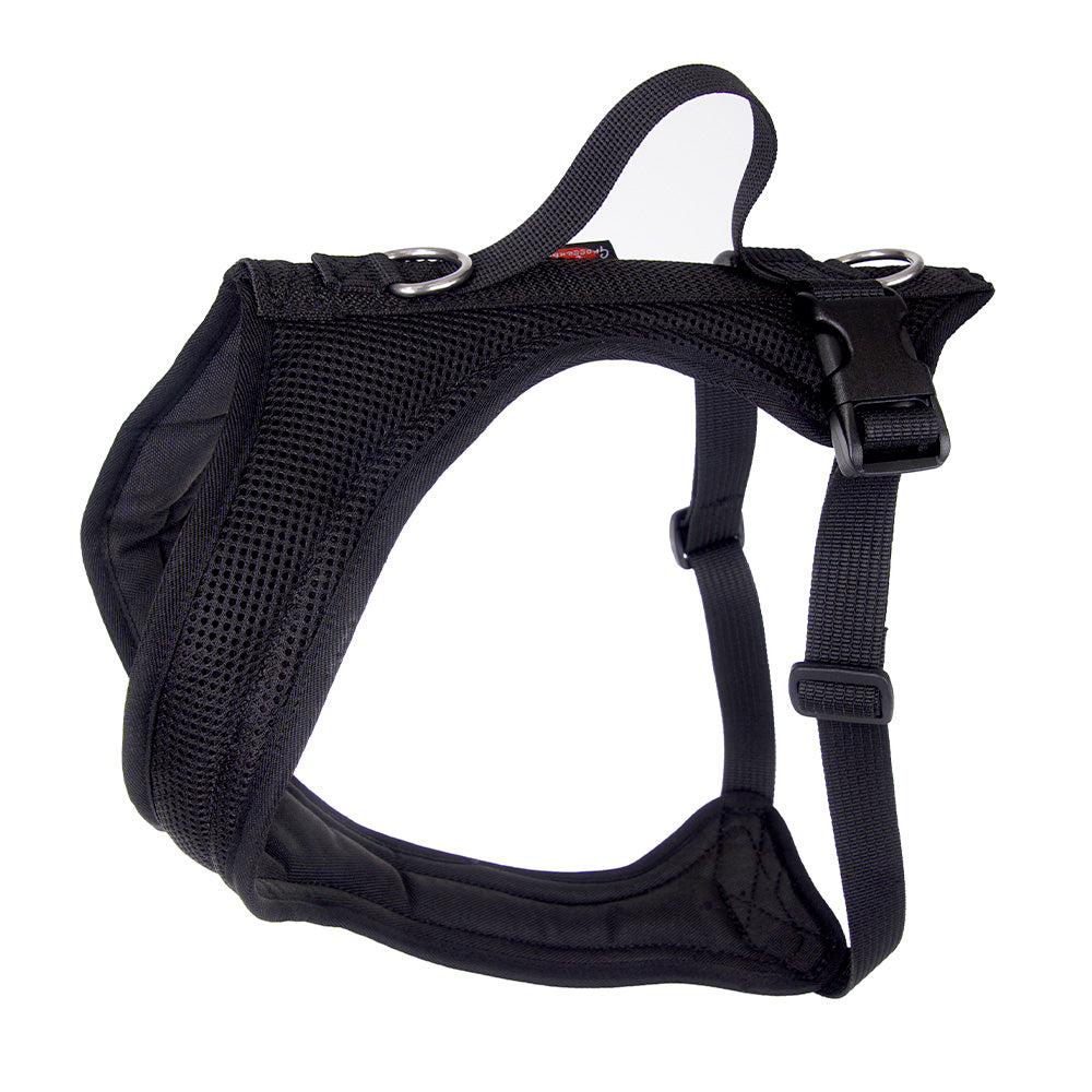 imbracatura per cani Dog's Fun Run nero, prodotto in Europa, articoli in saldo, outlet