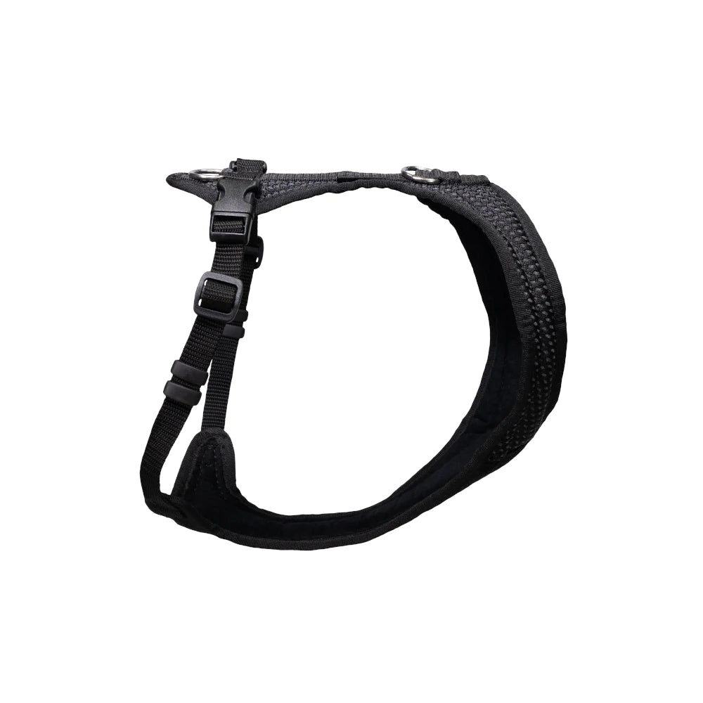 Dog`s Fun Run harnais pour chien avec une coupe optimisée pour teckel, noir avec bordure noire.