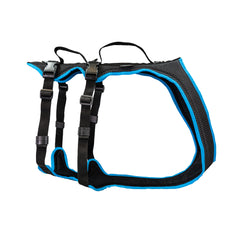 Hundegeschirr Dogs Fun Run Support, zum Wandern und Unterstützen, schwarz-türkis