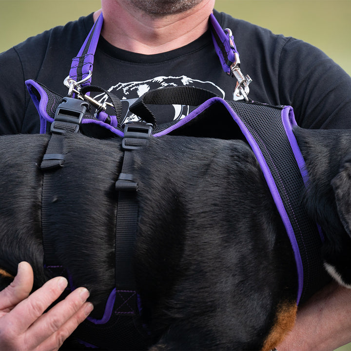Dog`s Fun Run Support mit 2 Gurten