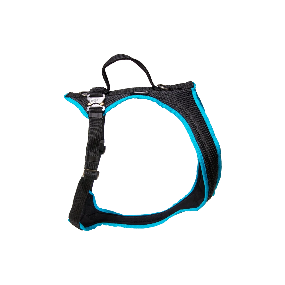 Dog`s Fun Run Autosicherheitsgeschirr Travel Bulldogge