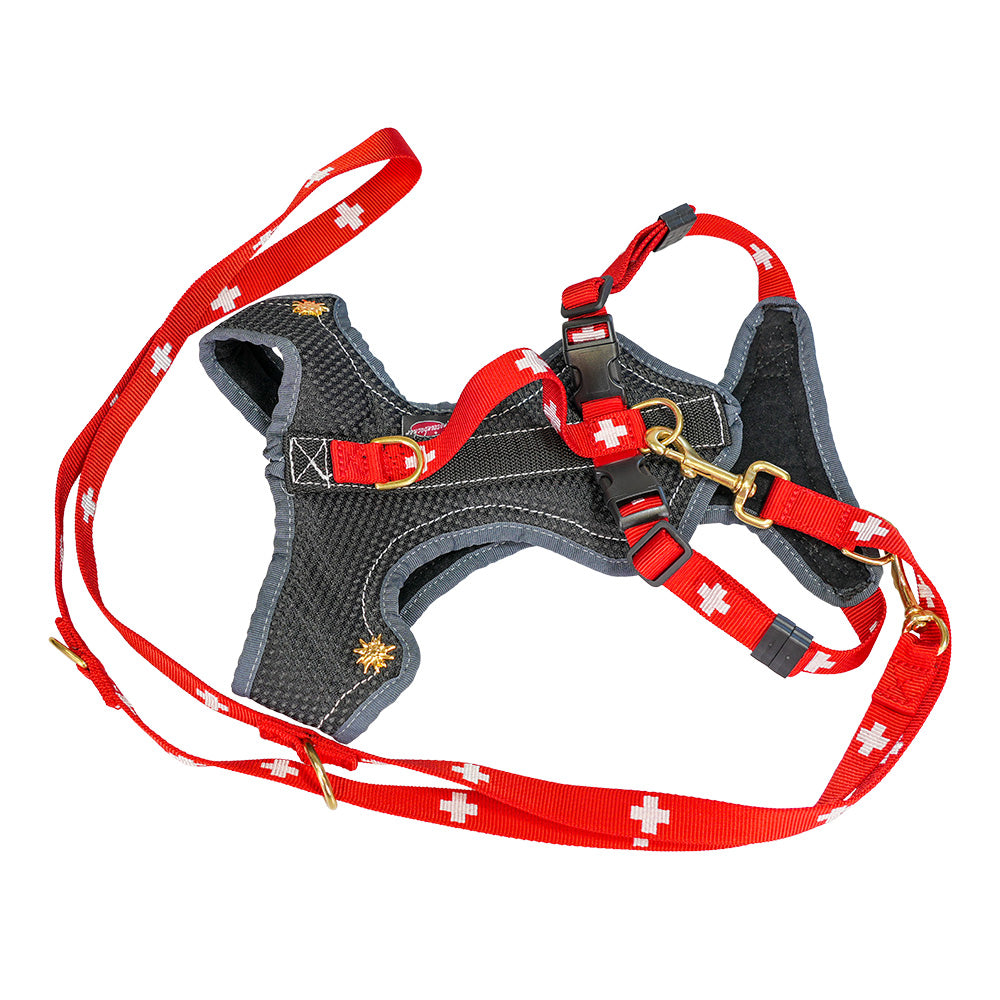 Set SWISS EDITION (Hundegeschirr+Leine)