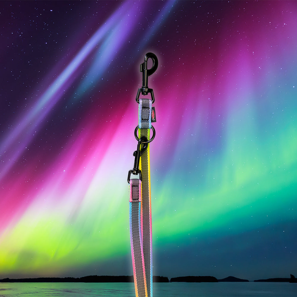 Guinzaglio ABS Mediumflex