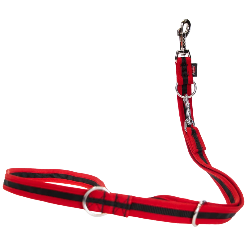 Dog leash bordered, 3-way adjustable