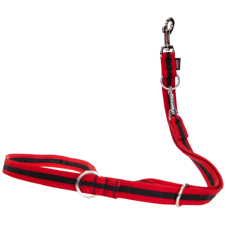 Dog leash bordered, 3-way adjustable