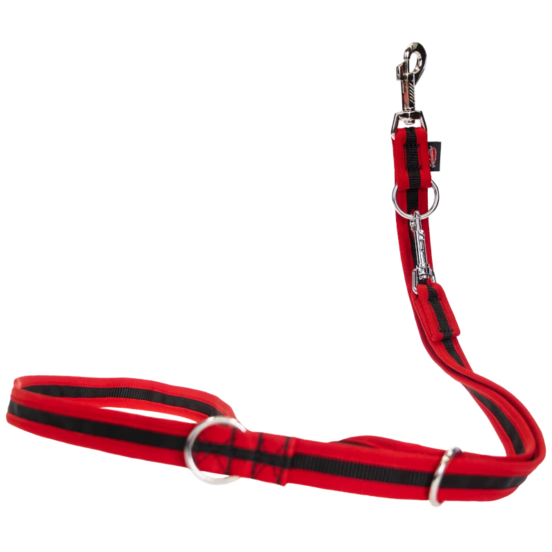 Edged Dog Leash, 3-way Adjustable