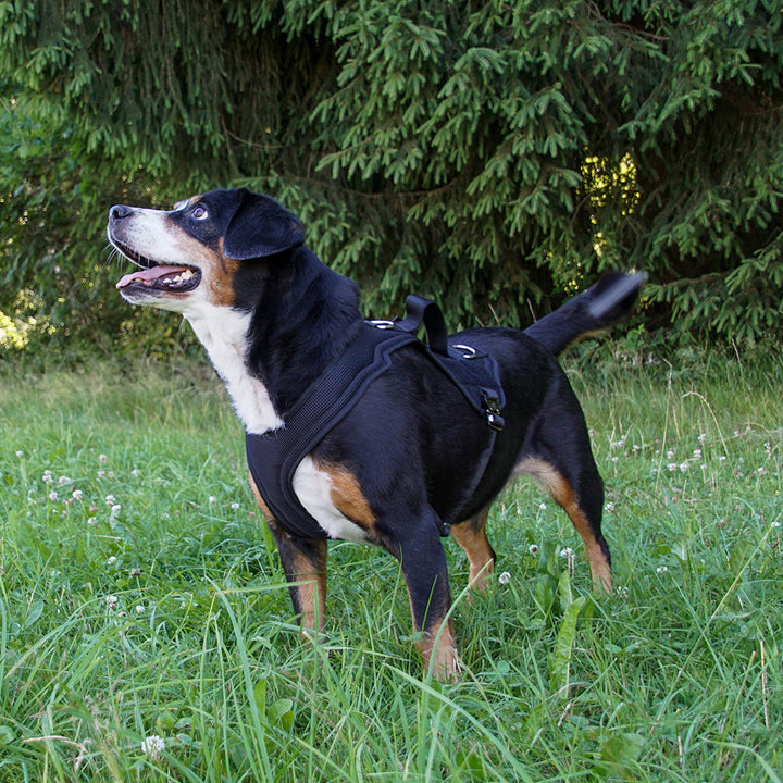 Hetzgeschirr Guard Profi, geschlossen