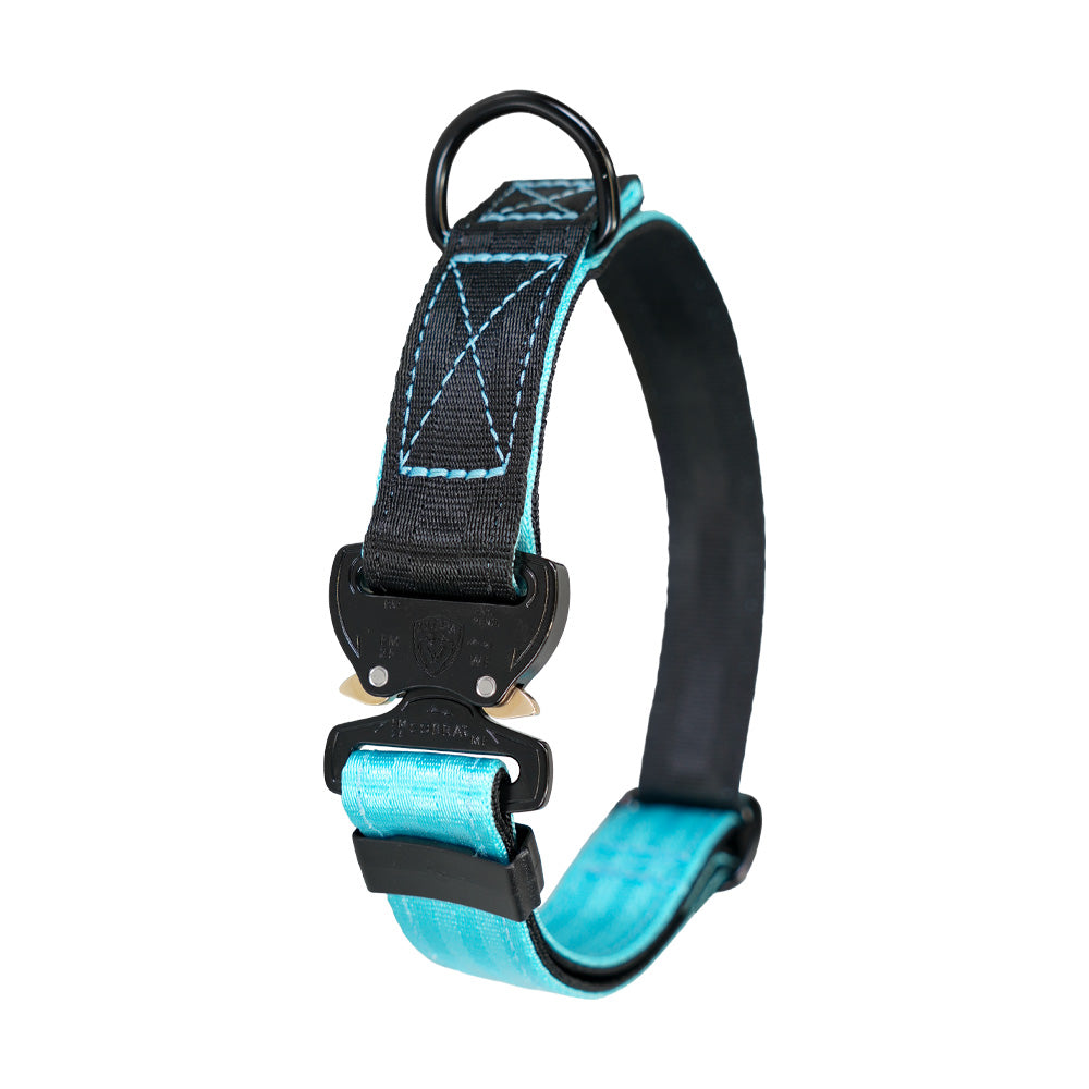Hunde-Halsband aus Autogurte, mit Direktverschluss und AustriAlpin COBRA Leichtmetallverschluss. Farbe: hellblau