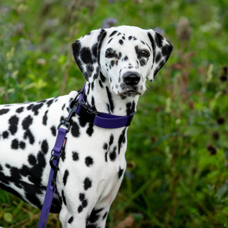 BIOTHANE® collar direct