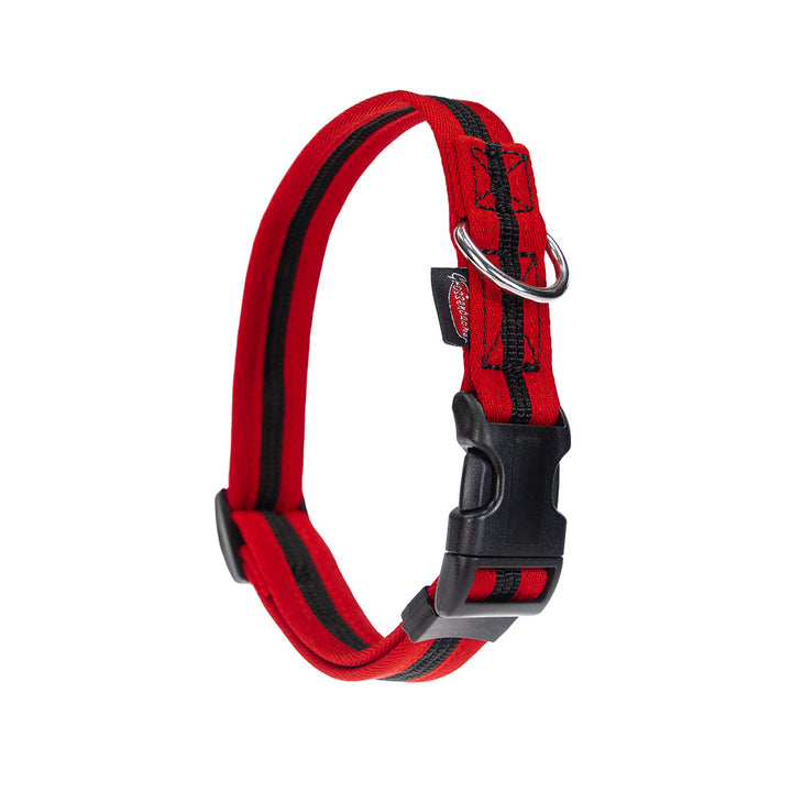 Halsband eingefasst direkt