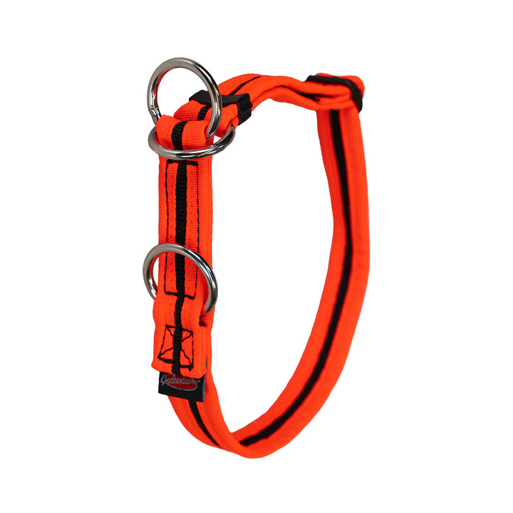 Halsband eingefasst Zugstopp