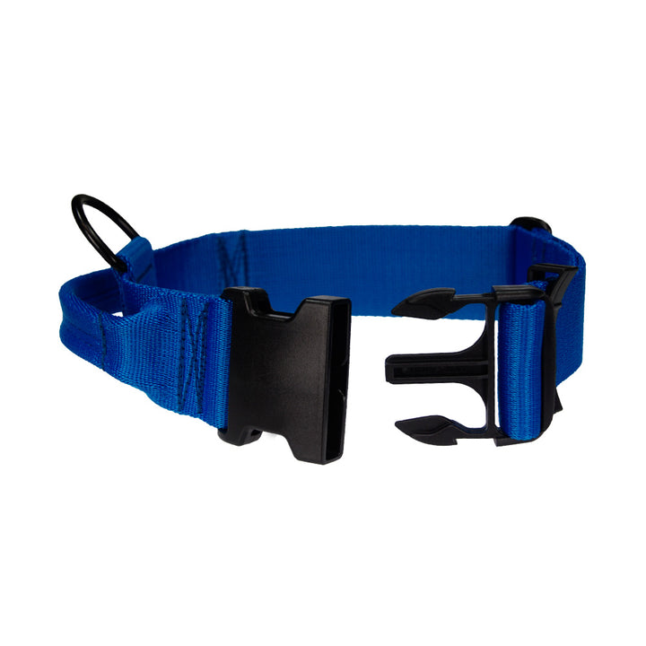 Hetz-Halsband mit Griff