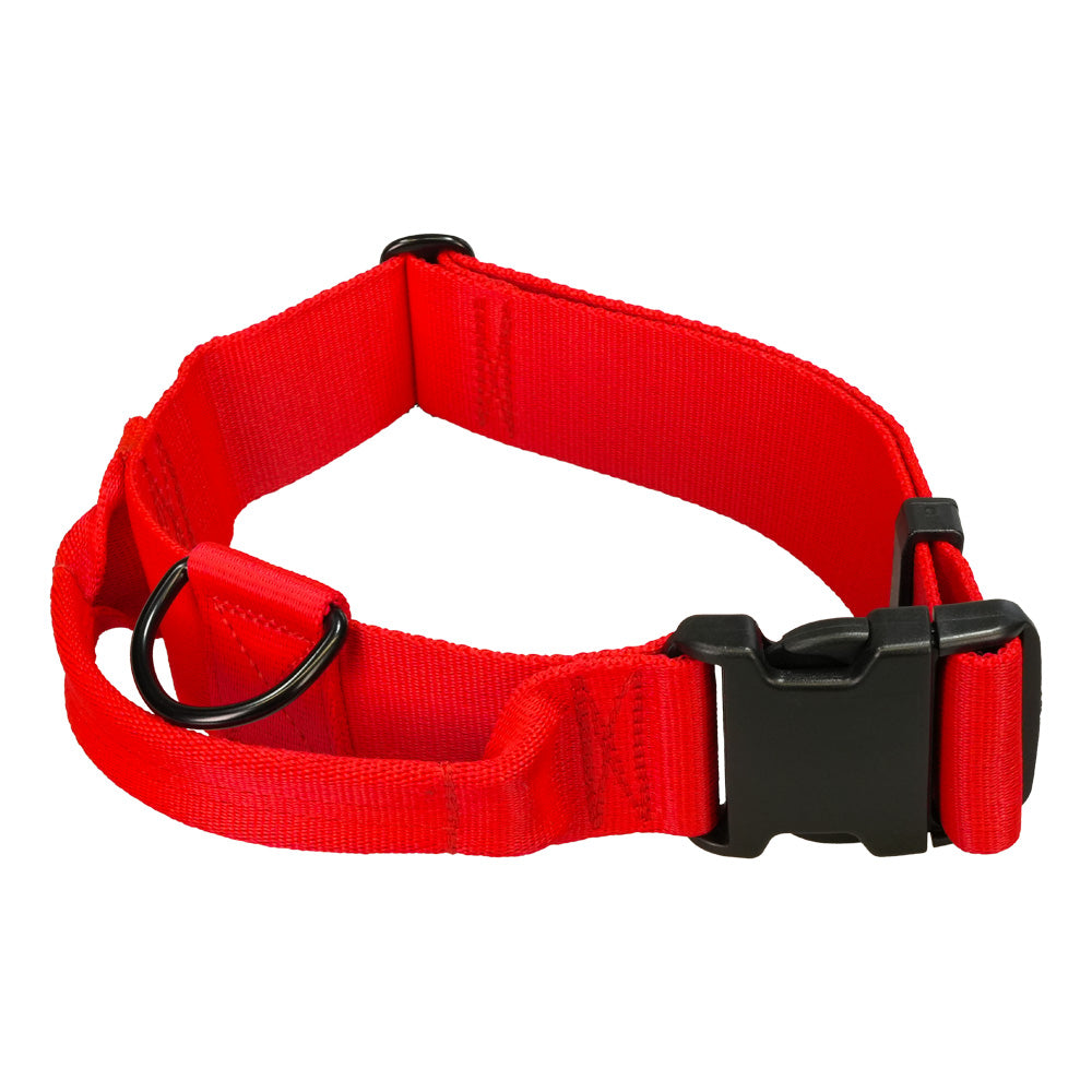 Hetz-Halsband mit Griff