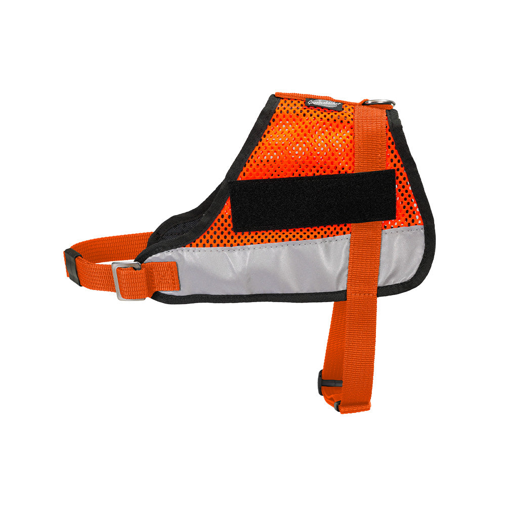 Harnais standard orange