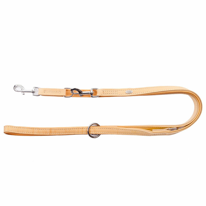 Exclusive Leather Leash