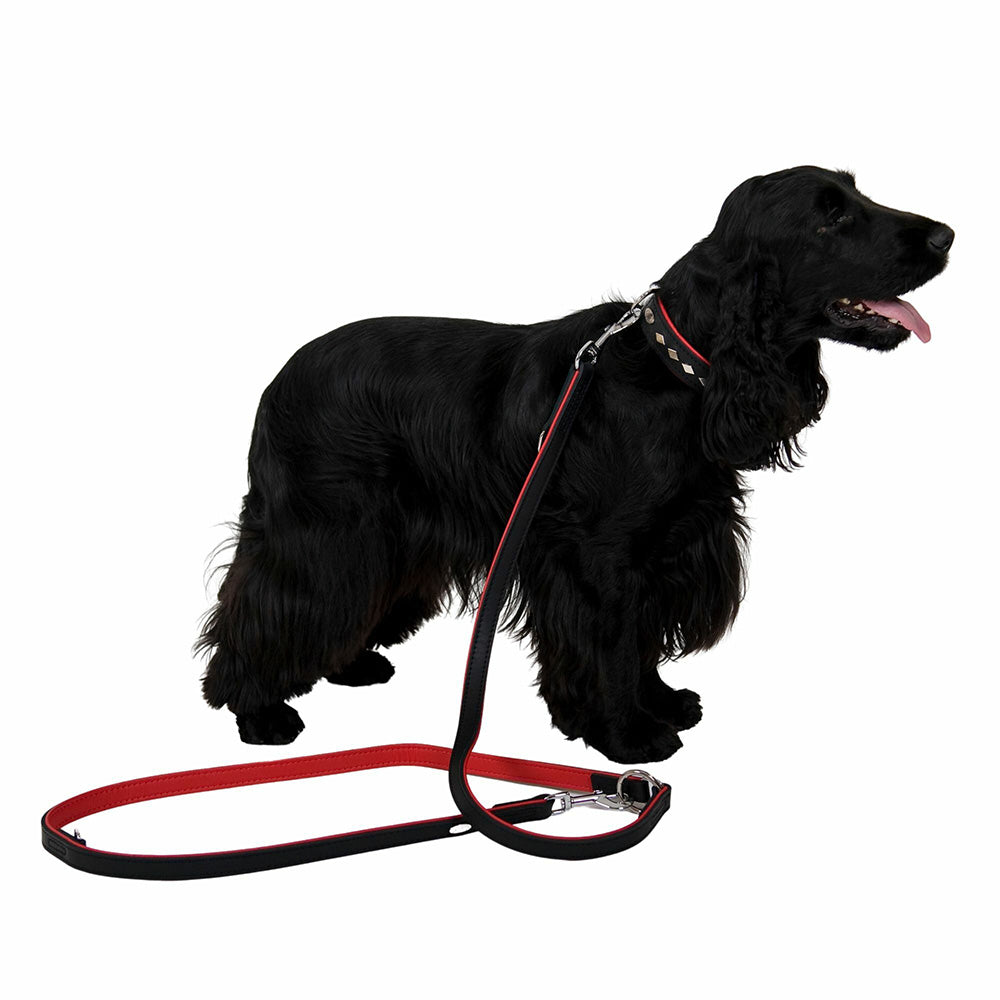 Exclusive Leather Leash