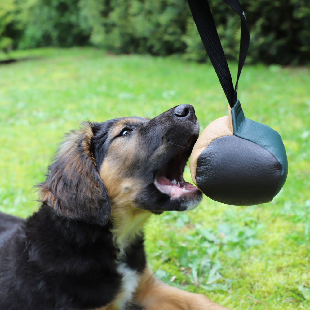 Lederball mit Griff - Dingo Gear