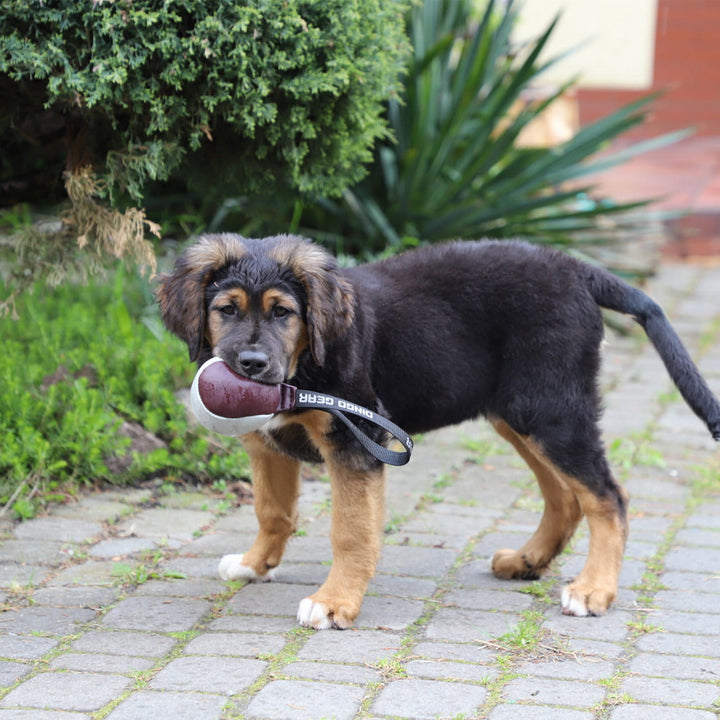 Lederball mit Griff - Dingo Gear