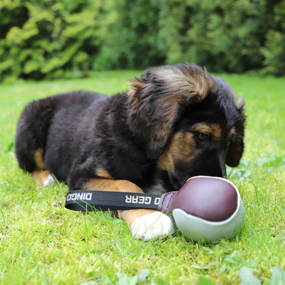 Lederball mit Griff - Dingo Gear