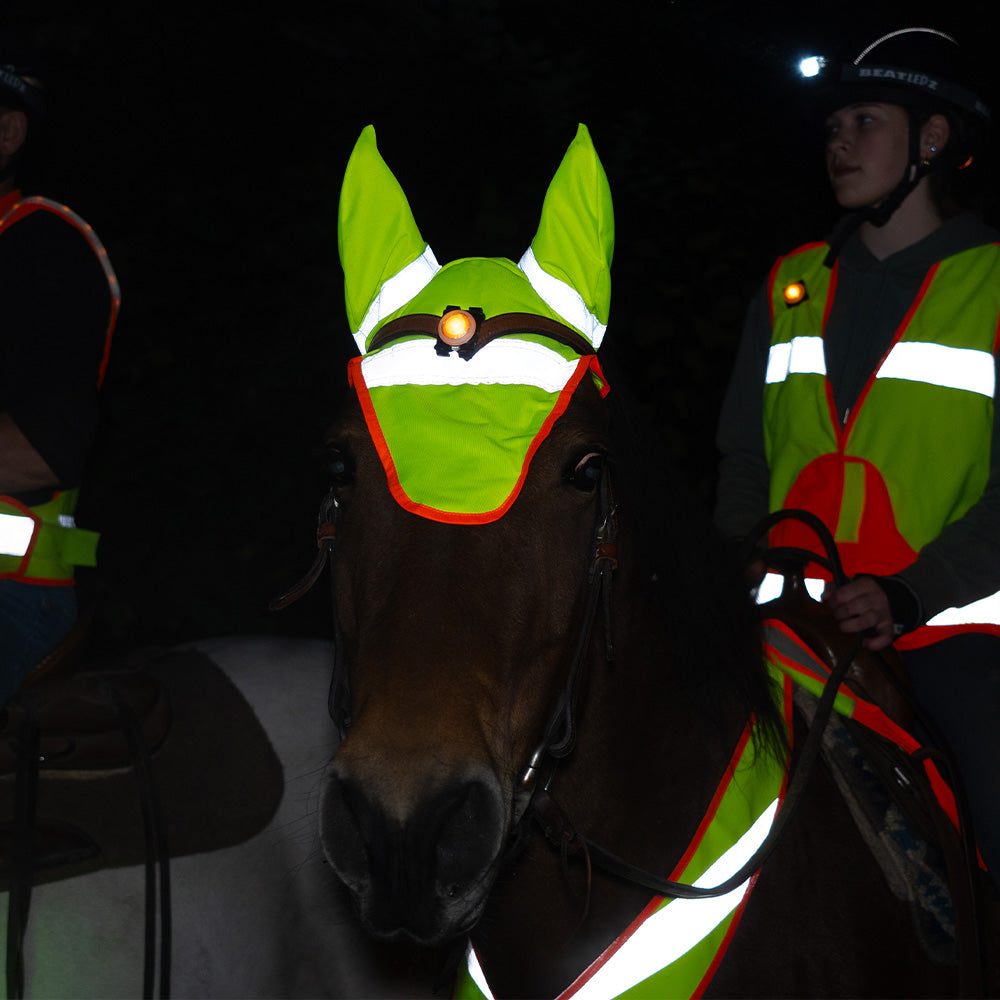 Washington Lighted Ear Net