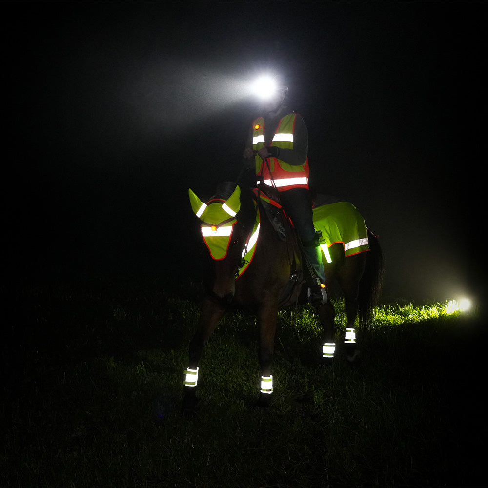 Washington Lighted Ear Net