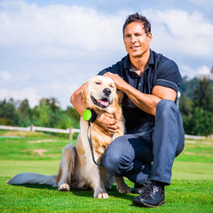 Lishinu 3 - avvolgitore intelligente per cani verde