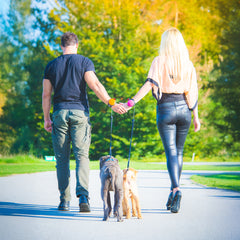 Lishinu 3 - guinzaglio intelligente per cani a bobina arancione e rosa