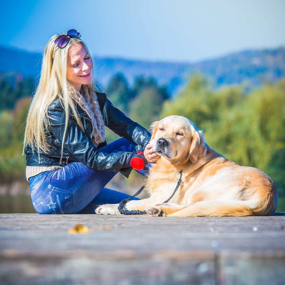 Lishinu bungee dog leash/reel with pull damper. Color red