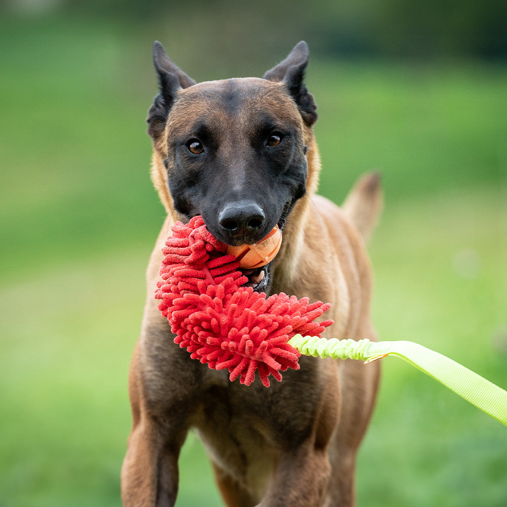 Toy Mop Boudin Bungee Ball