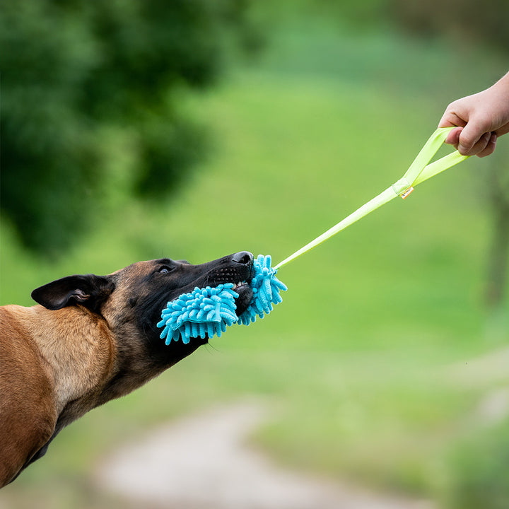 Toy Mop Boudin