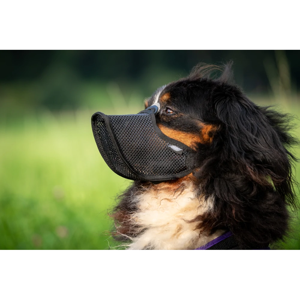 Maulkorb Light, mit Filz