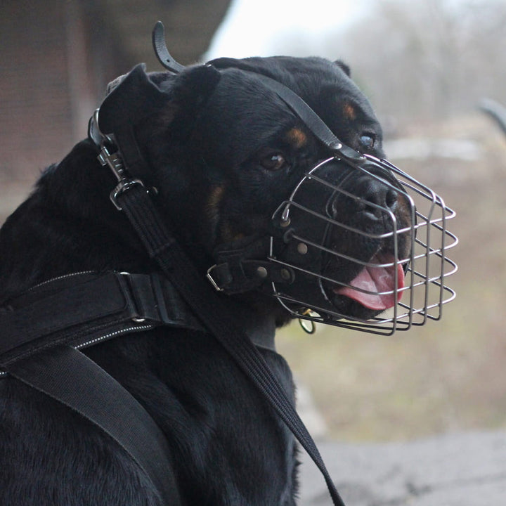 Maulkorb Metall Rottweiler - Dingo Gear