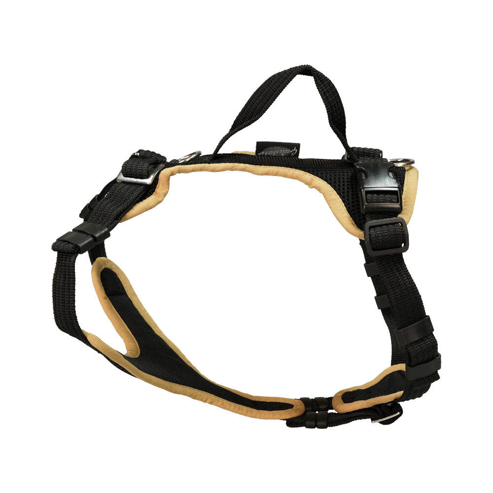 Puppy harness Popp-It