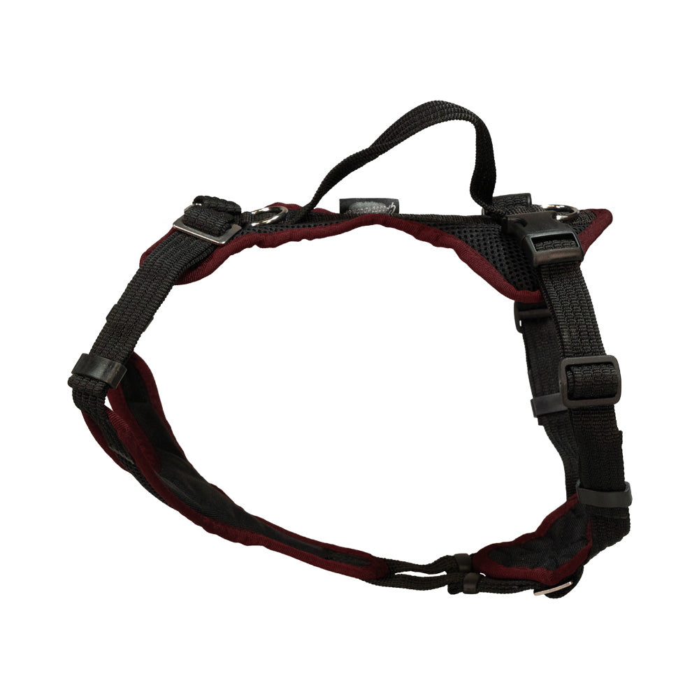 Puppy harness Popp-It